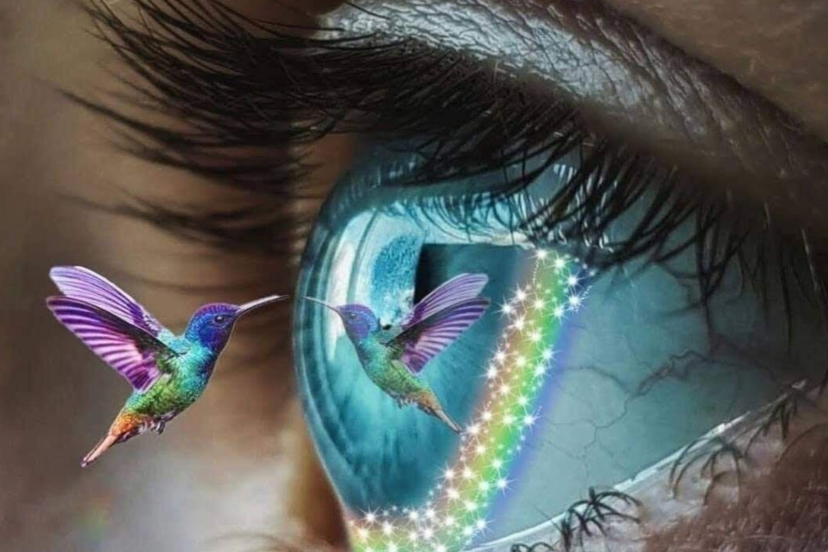 Close-up van oog met kolibrie en licht als symbool voor innerlijk zicht, bewustzijn en sananga heling