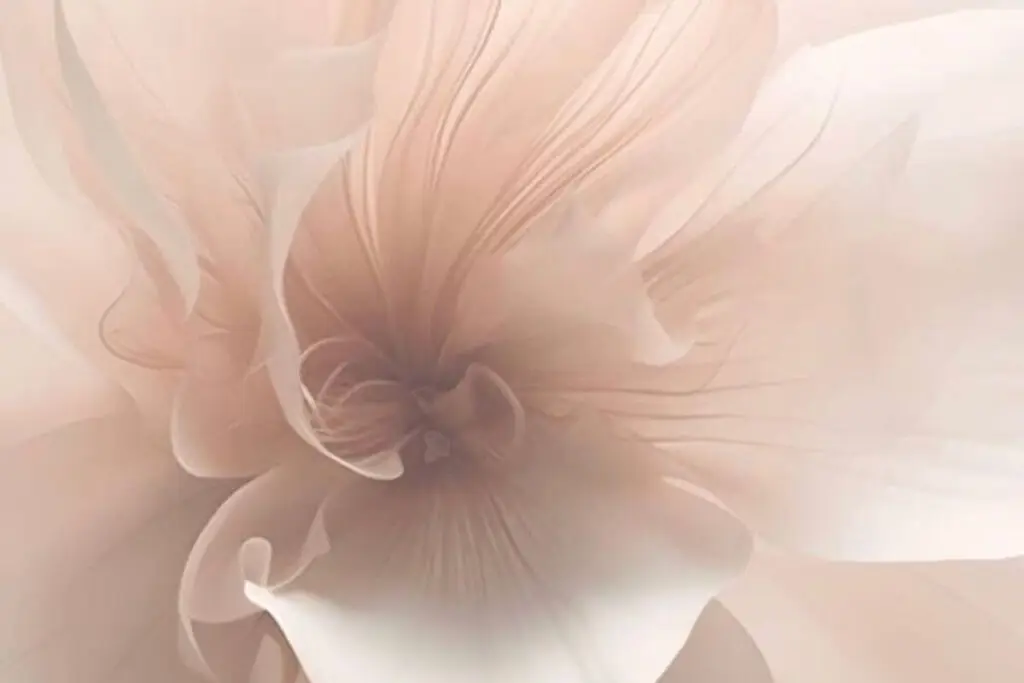 Zachte abstracte bloem in beige en crème tinten — sfeerbeeld bij de Gechannelde Boodschap van Helen Adriana